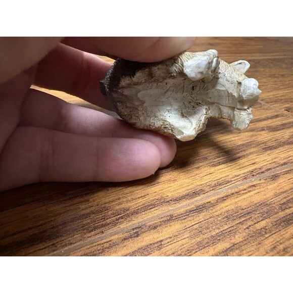 Vintage Dog Knick-knack Porcelain Sculpture Beagle - Picture 4 of 5